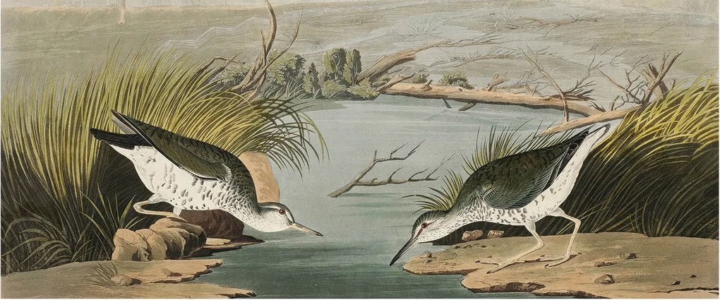 Flizelin tapéta Flizelin Fali Prémium Nyugodt tájkép 250x104