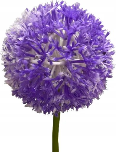Mesterséges Fokhagyma Lila, Díszítő Ág, Nádakhoz És Kompozíciókhoz