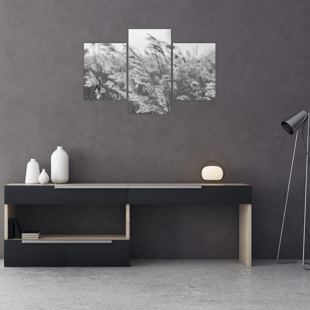 Kép - Fű a szélben (90x60 cm)
