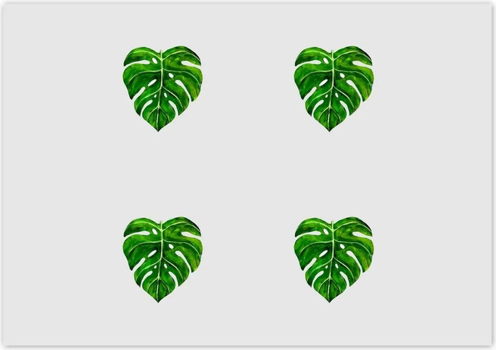 Poszterek 100x70 Monstera Lyukas levelek