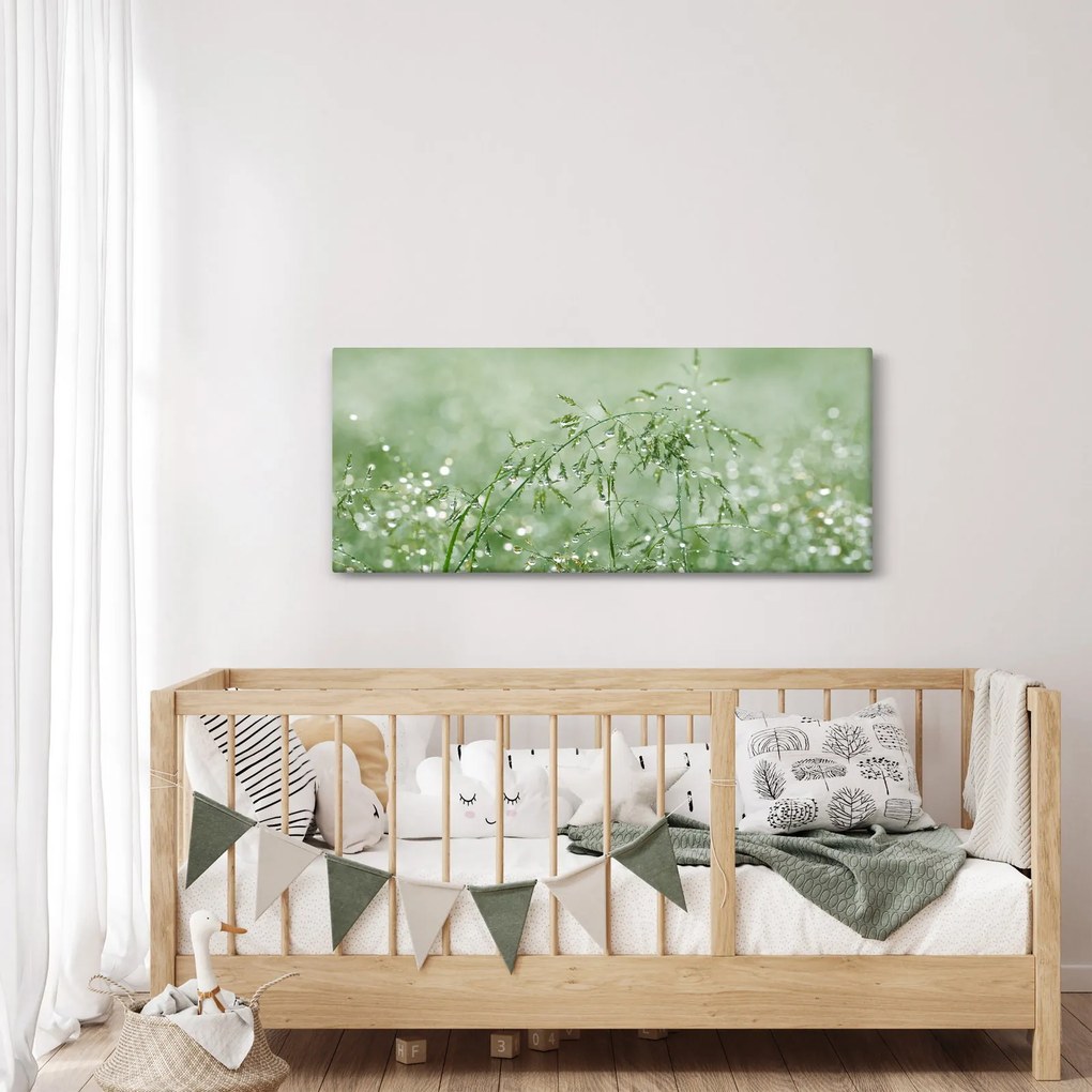 Kép - Reggeli harmat a fűszálakon (120x50 cm)