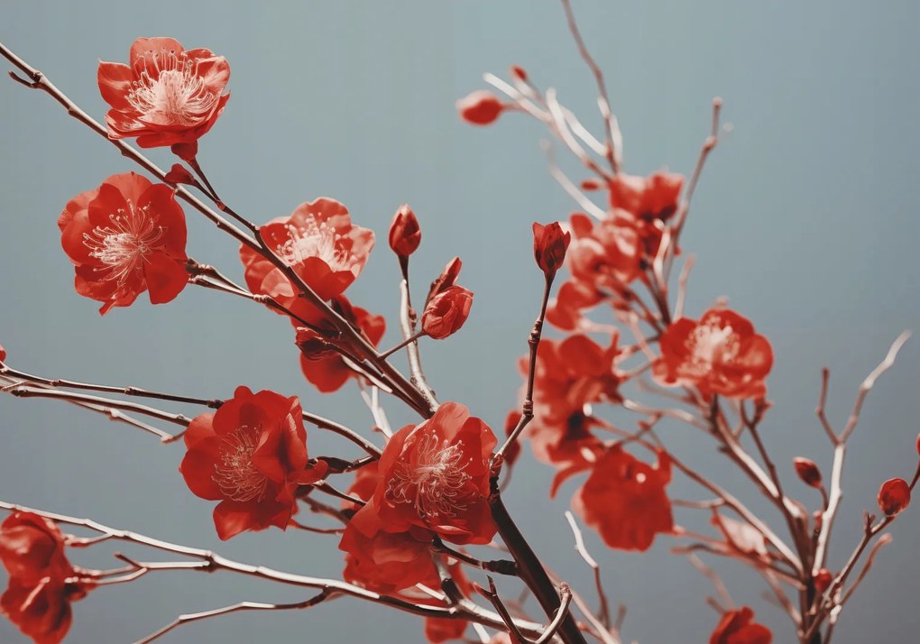 Poszter 66,5x46,5cm Bíbor Tavasz