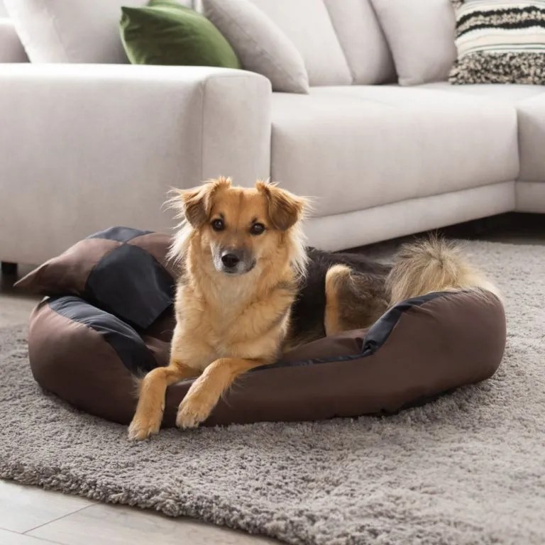PETSTUFF® Kutyafekhely fekete/barna 110 x 80 x 23 cm