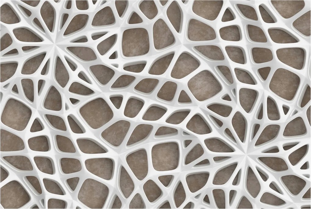 Fotótapéta Flizelina Nappali és Hálószoba Iroda Csipke háló 104x70 Ragasztó