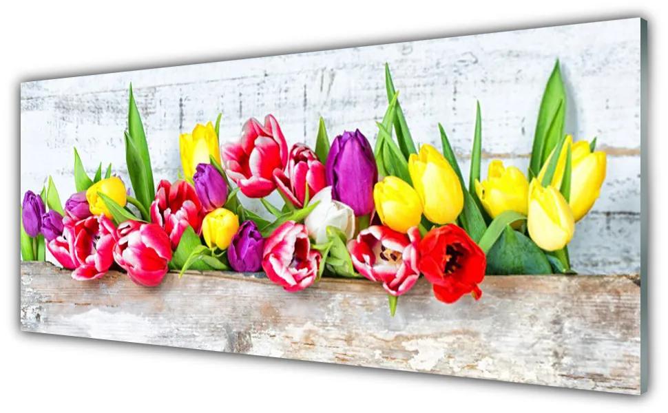 Akrilkép Tulipán virágok természet 125x50 cm