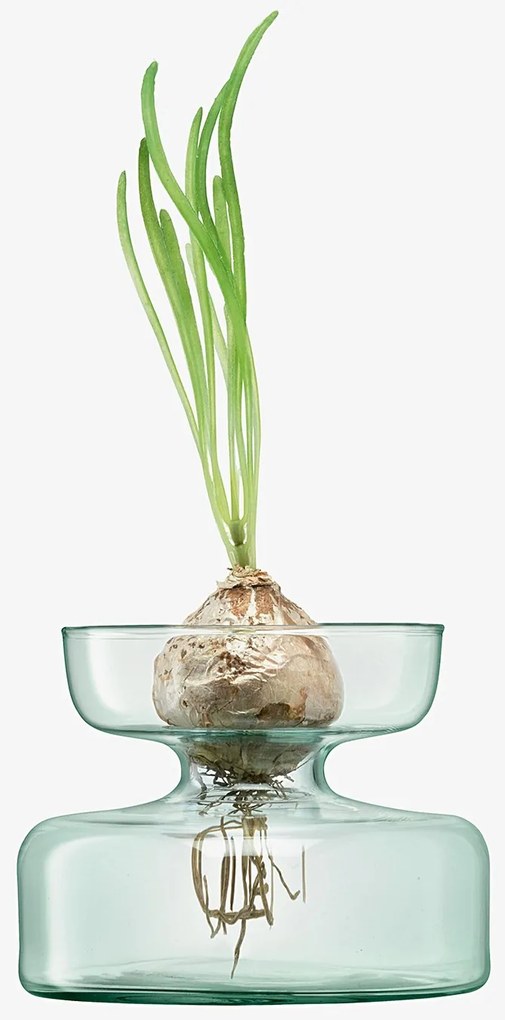 Váza/üveg ültető, 10 cm magas, átlátszó - LSA International