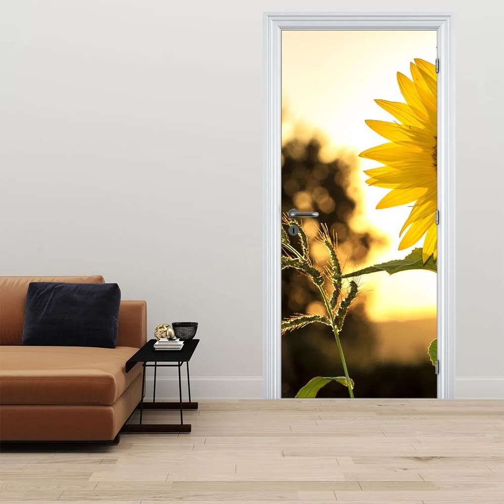 Fotótapéta ajtóra - Napraforgó (95x205cm)