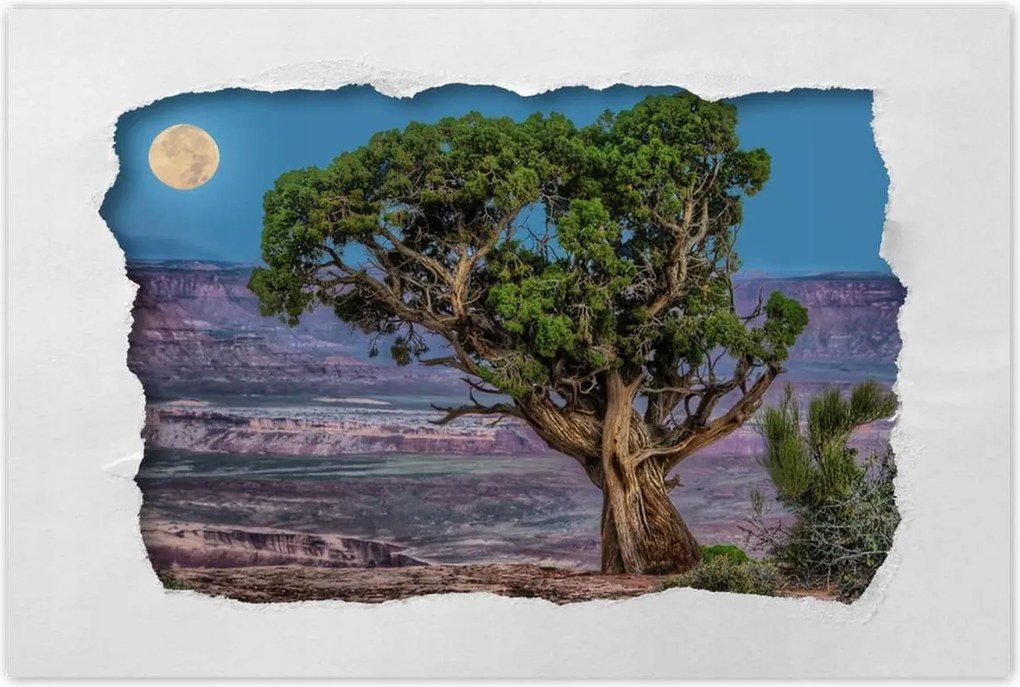 Poszterek 60x40 Kilátás Tájkép