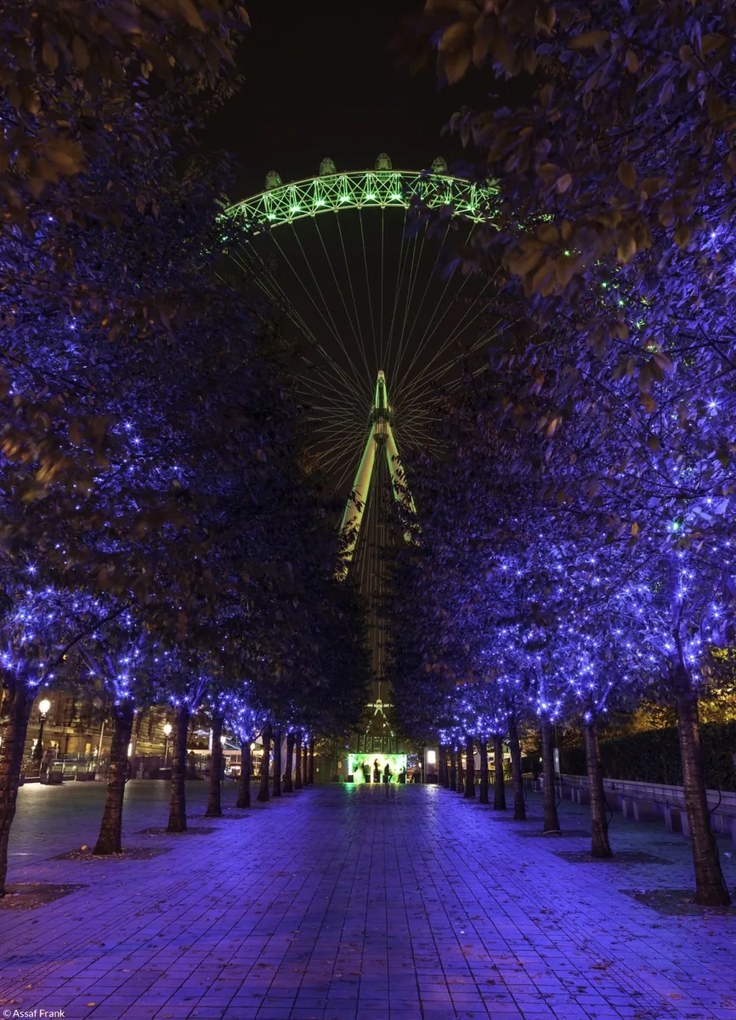 Poszter 20,5x28,4cm Fák vezetnek az ezredforduló köréhez, Assaf Frank