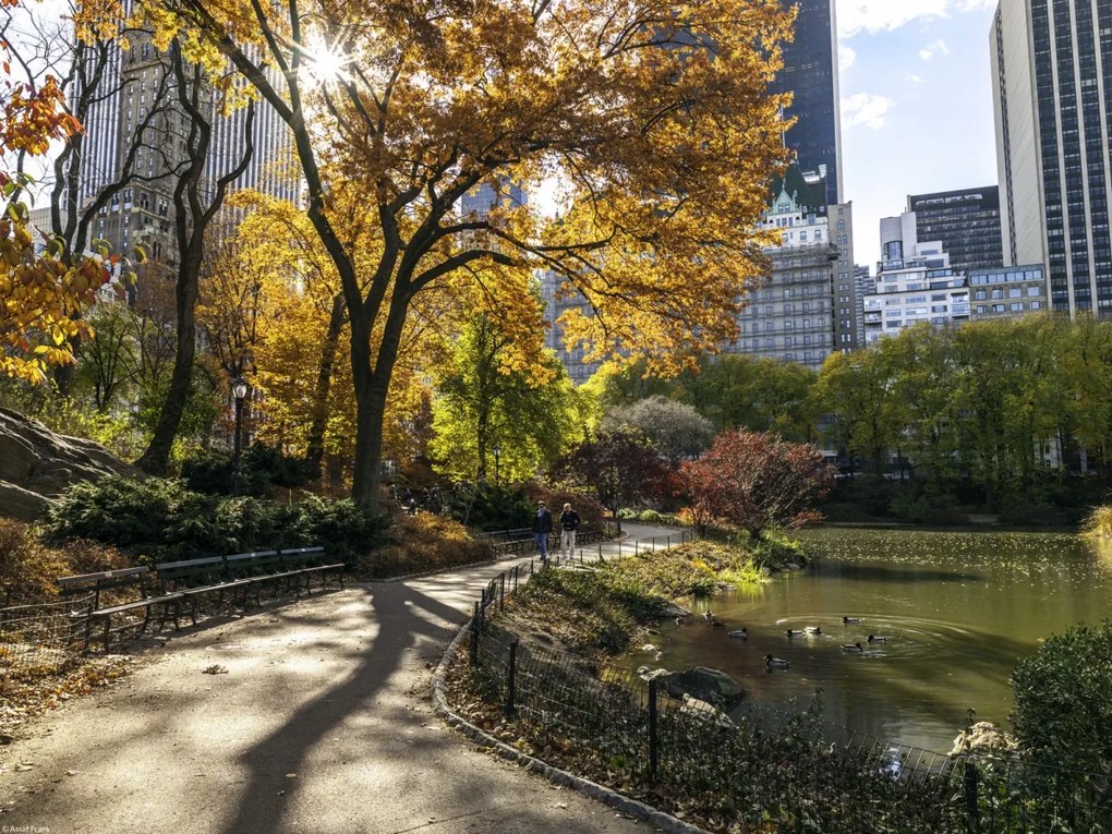 Poszter 40x30cm Ösvény a központi parkon át 5, Assaf Frank