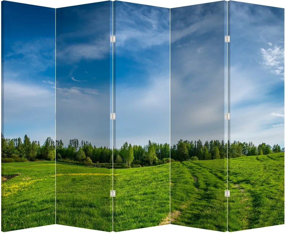 Paraván - Rét (210x170 cm)