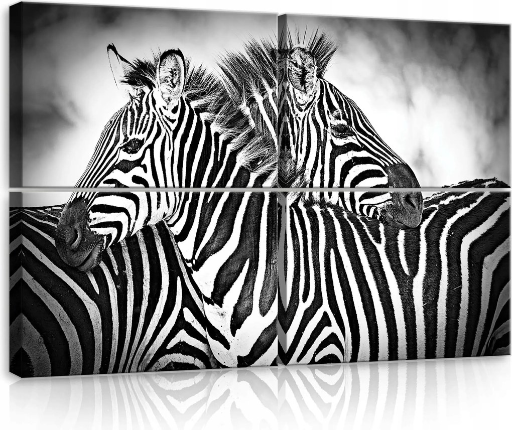 Vászonkép 120x80 Zebra csíkos fekete-fehér szafari állatok természet minta grafika