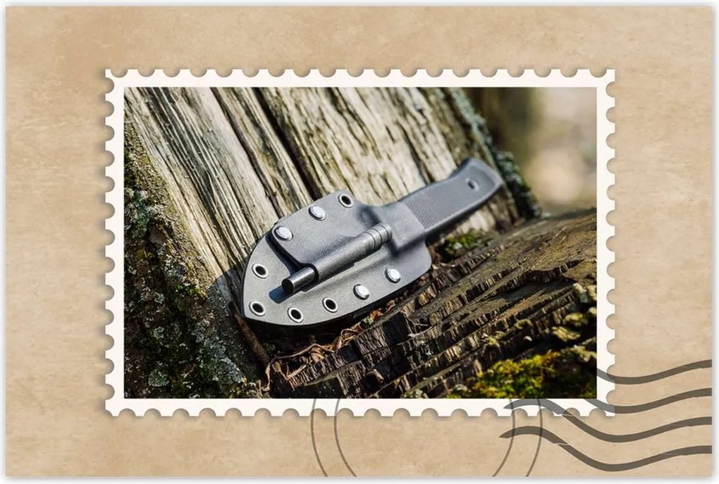 Poszterek 120x80 Kés a tokban az erdőben