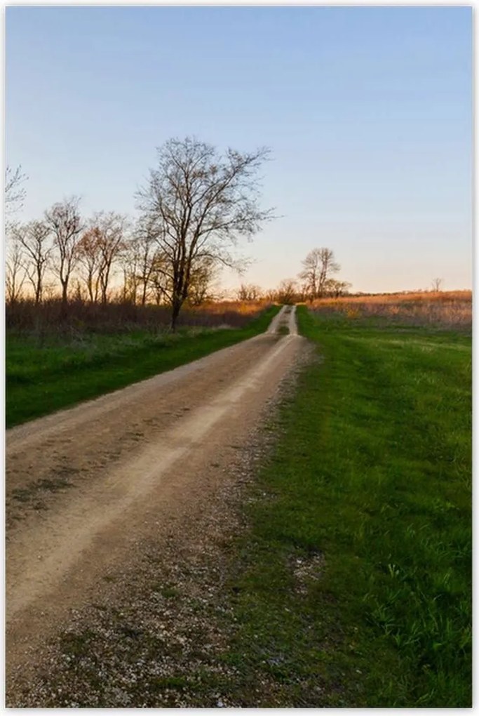 Poszterek 80x120 Mező út Fák Mezők