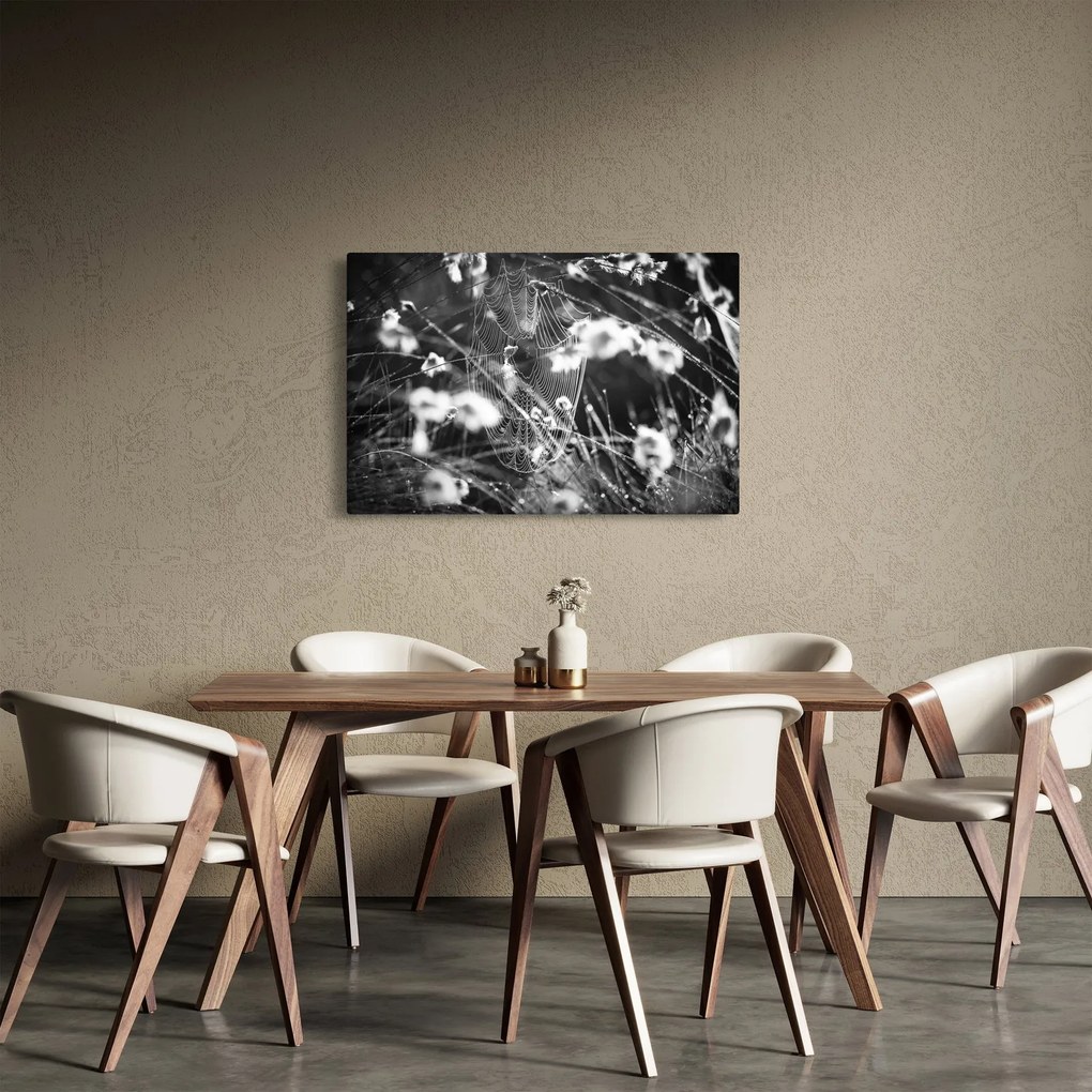 Kép - Pókháló a réten (90x60 cm)