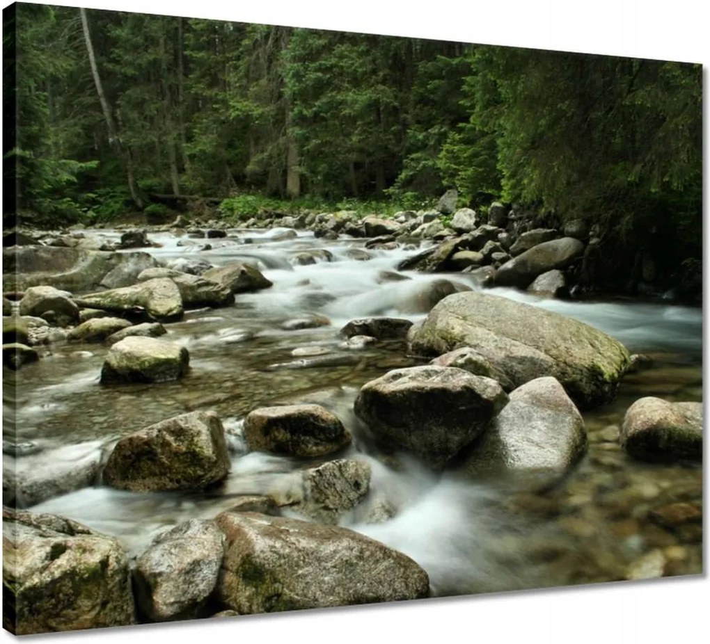 Vászonkép 50x40 Tátra Lengyel hegyek Kilátás