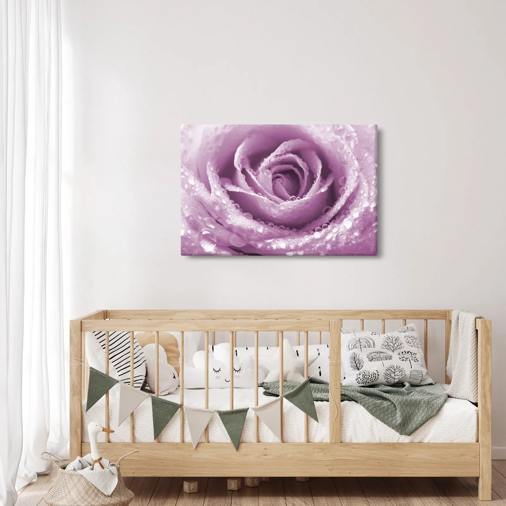 Egy rózsa virág részlete (90x60 cm)