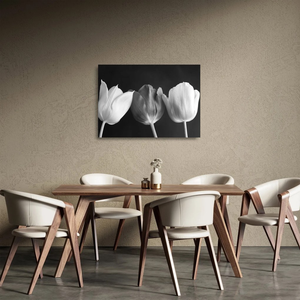 Kép - fekete-fehér tulipán virág (üvegen) (70x50 cm)