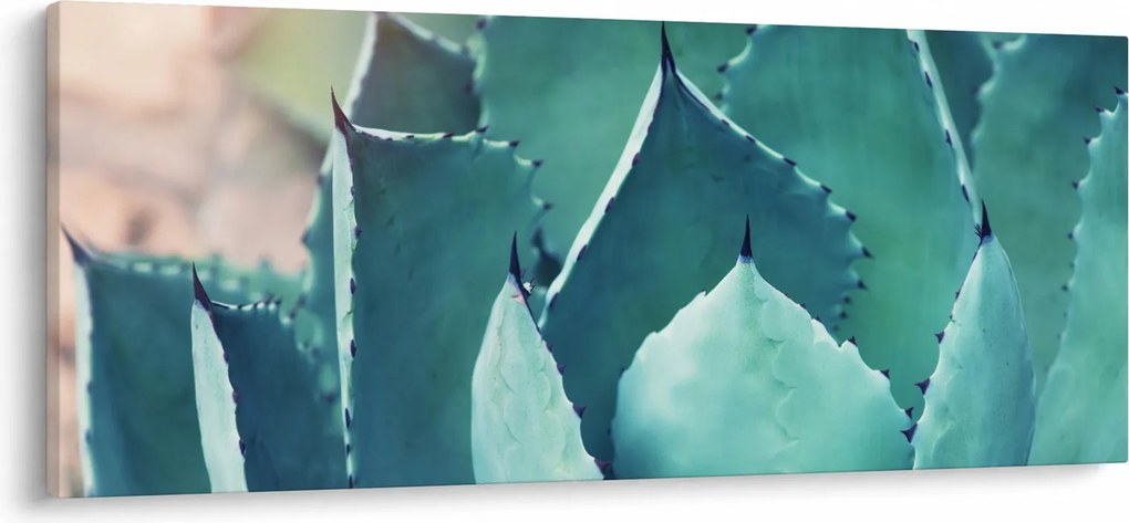 Kép - Szukulent (120x50 cm)