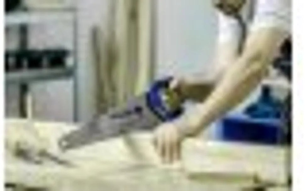 Szerszám Högert Fűrész rókafarkú, 450mm