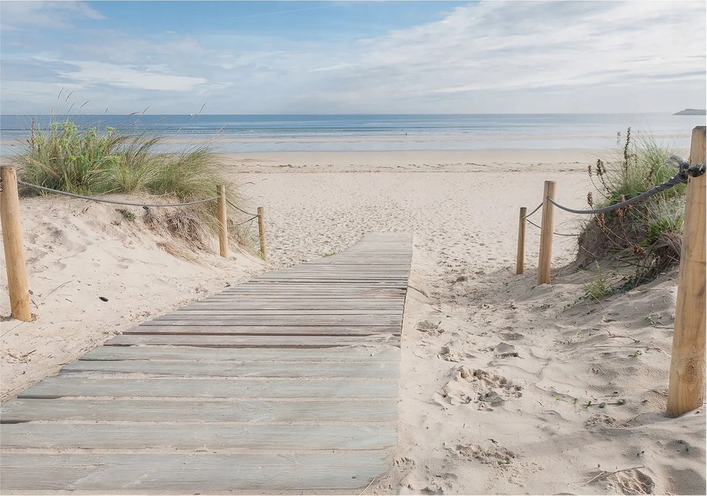 Fali fotótapéta előszoba konyhához Fa járda 312x219 Ragasztó