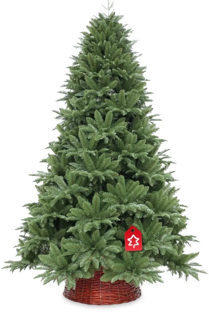 Nordmann jegenyefenyő 180 cm