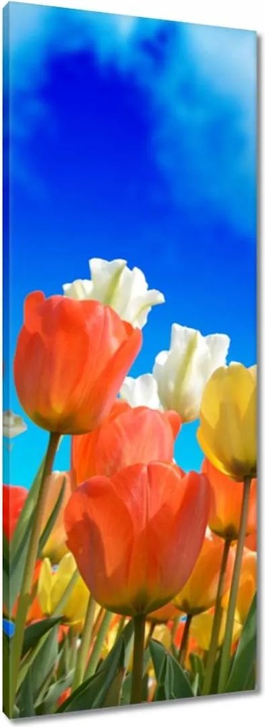 Vászonkép 40x100 Színes tulipánok Virágok