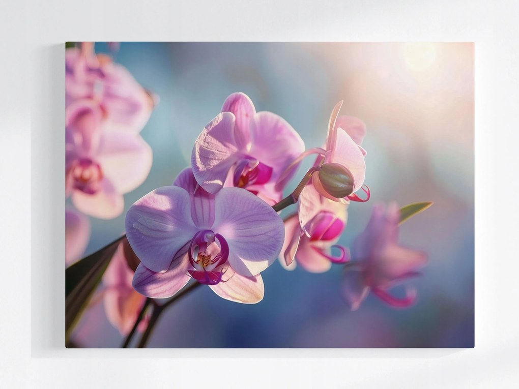 Poszter Zen Virág Orchidea Természet 100x75