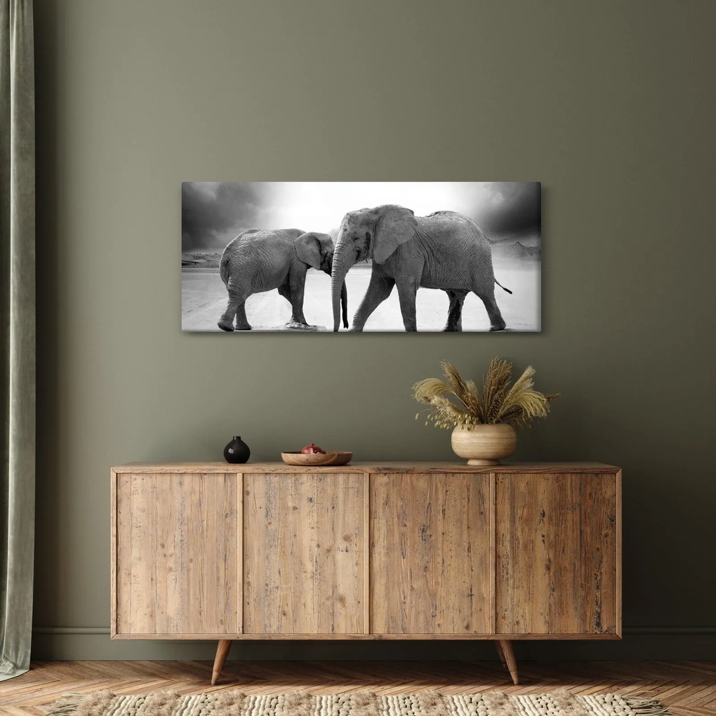 Kép - fekete fehér elefántok (120x50 cm)