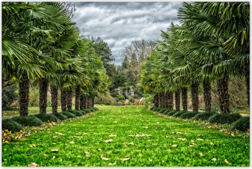 Poszterek 120x80 Tájkép