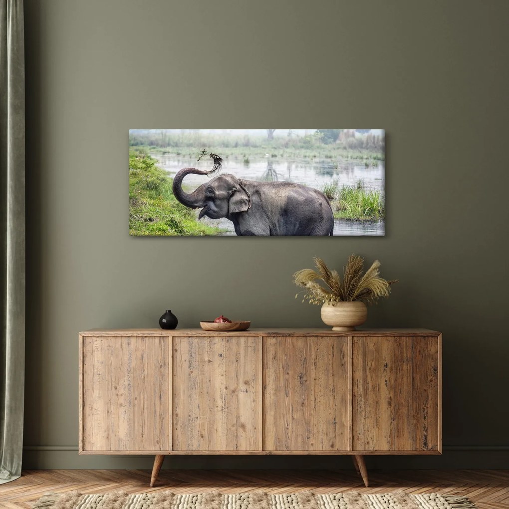Kép - Fürdőző elefánt (120x50 cm)