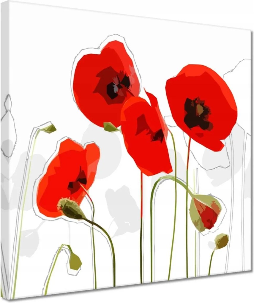 Vászonkép 30x30 Piros pipacs Virág