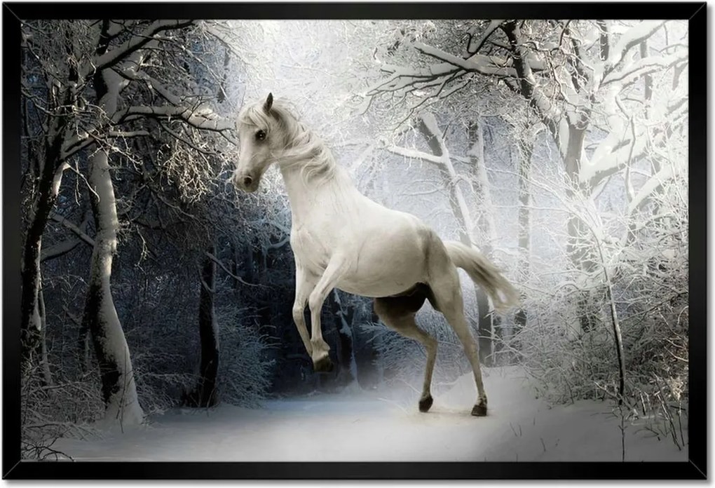 Poszter keretben 60x40 Fehér paripa