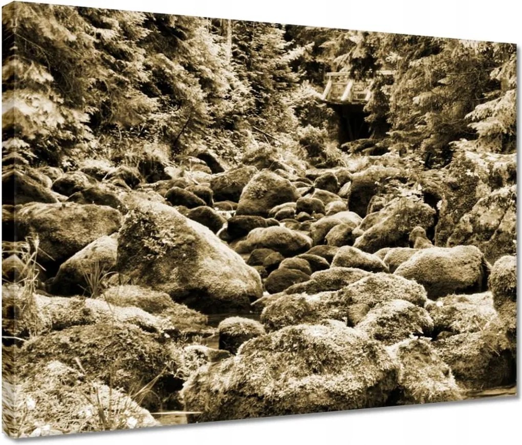 Vászonkép 40x30 Tátra Lengyel hegyek Kilátás