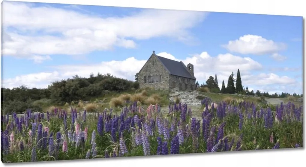 Vászonkép 115x55 Lila virágok domb