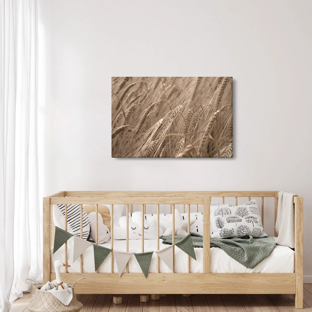 Kép - Az arany mező (90x60 cm)