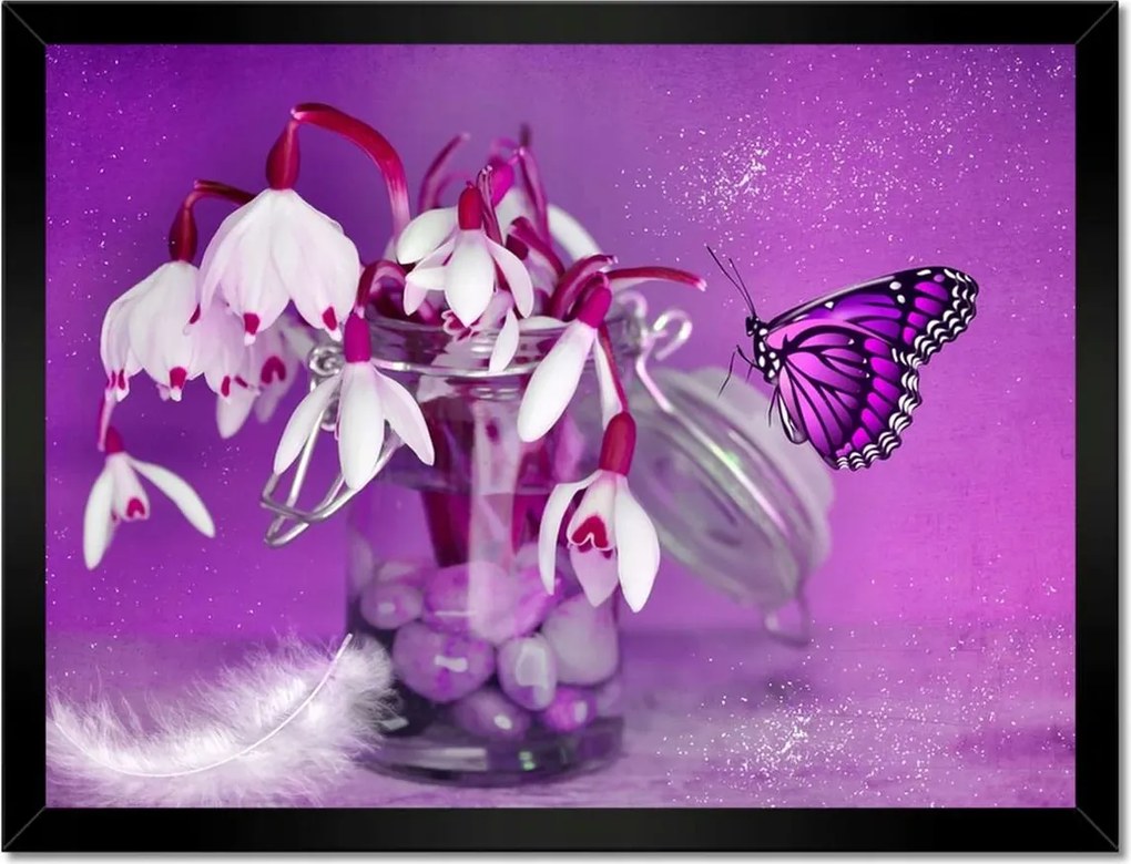 Poszterek keretben 40x30 Hóvirág és pillangó