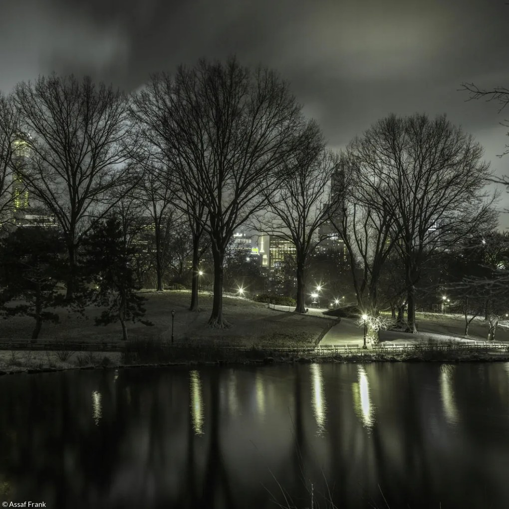 Poszter 20x20cm Central Park éjszaka 2, Assaf Frank