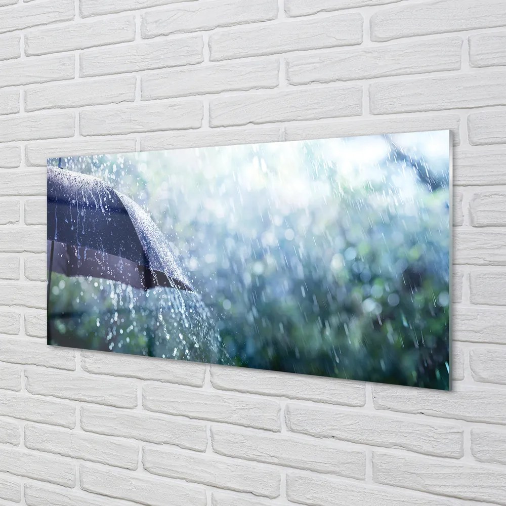 Akrilkép Esernyő eső esik 100x50 cm