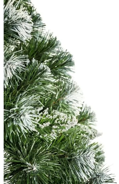 Karácsonyfa törzzsel, 180 cm magas fenyő