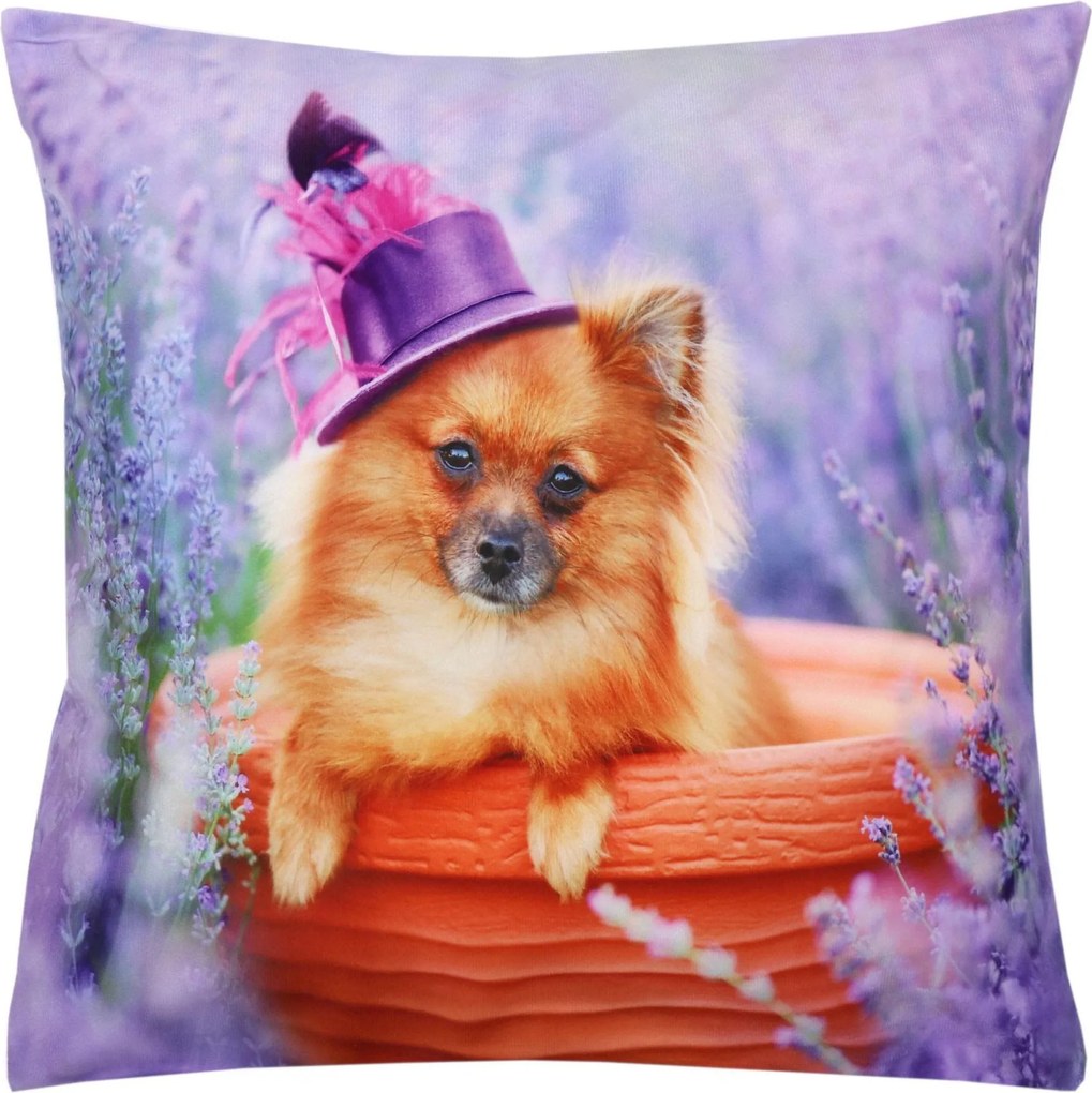 Dekoratív párnahuzat 40x40 Levendula Kutya