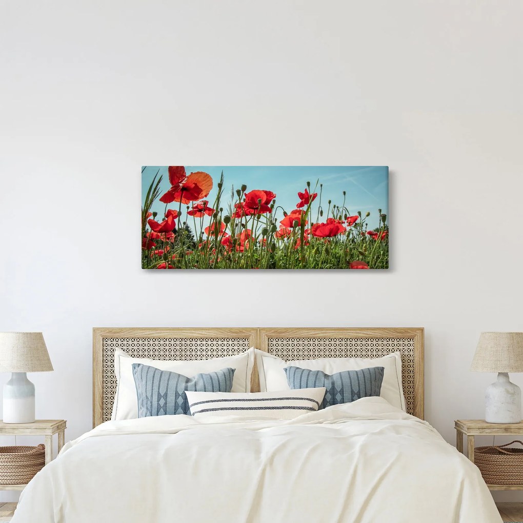 Kép - Pipacsos mező (120x50 cm)