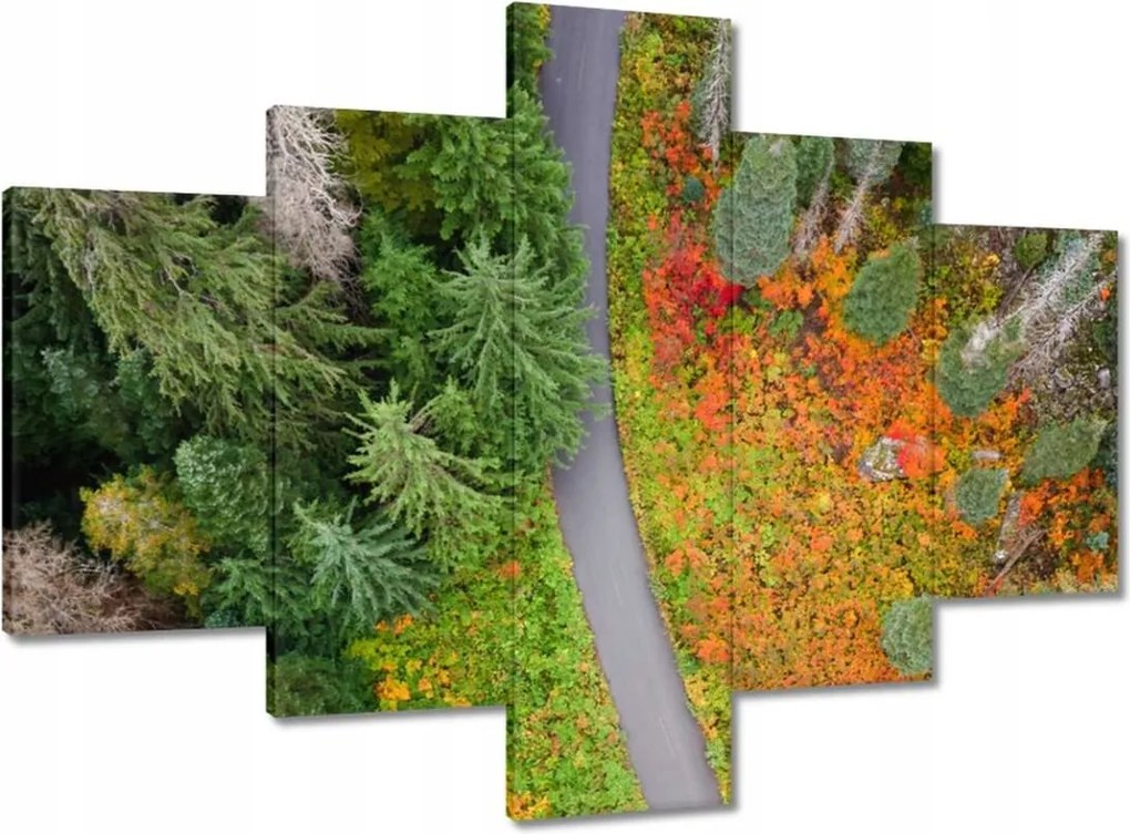 Vászonkép 100x70 Út Erdő Ősz