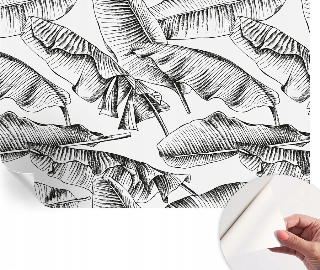Design fali fotótapéta öntapadós banán levelek 104x70 cm