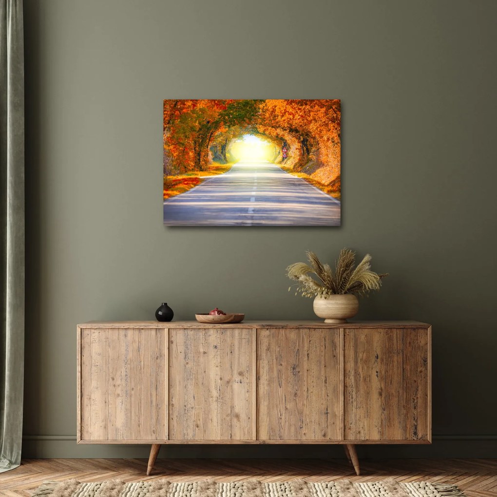Kép - kapu a fák koronájából (70x50 cm)