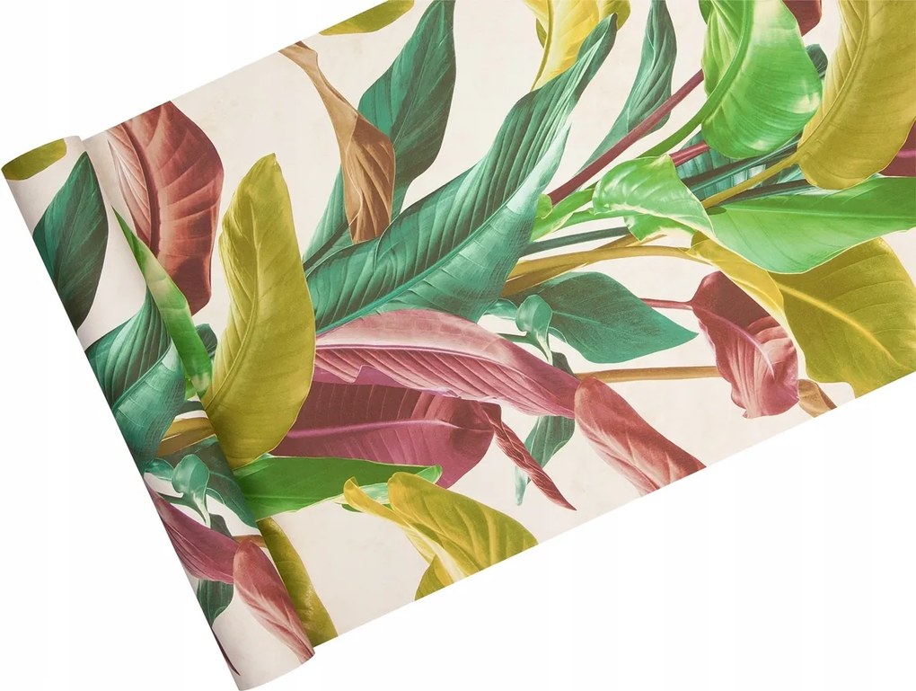 Tapéta Nagy Levelekkel színes Strelicia banner