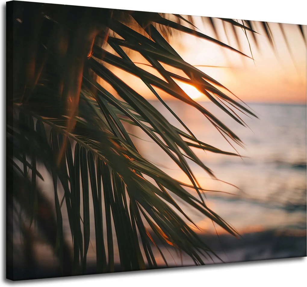 Vászonkép Természet Tengerpart Pálma Tenger Naplemente 100x80