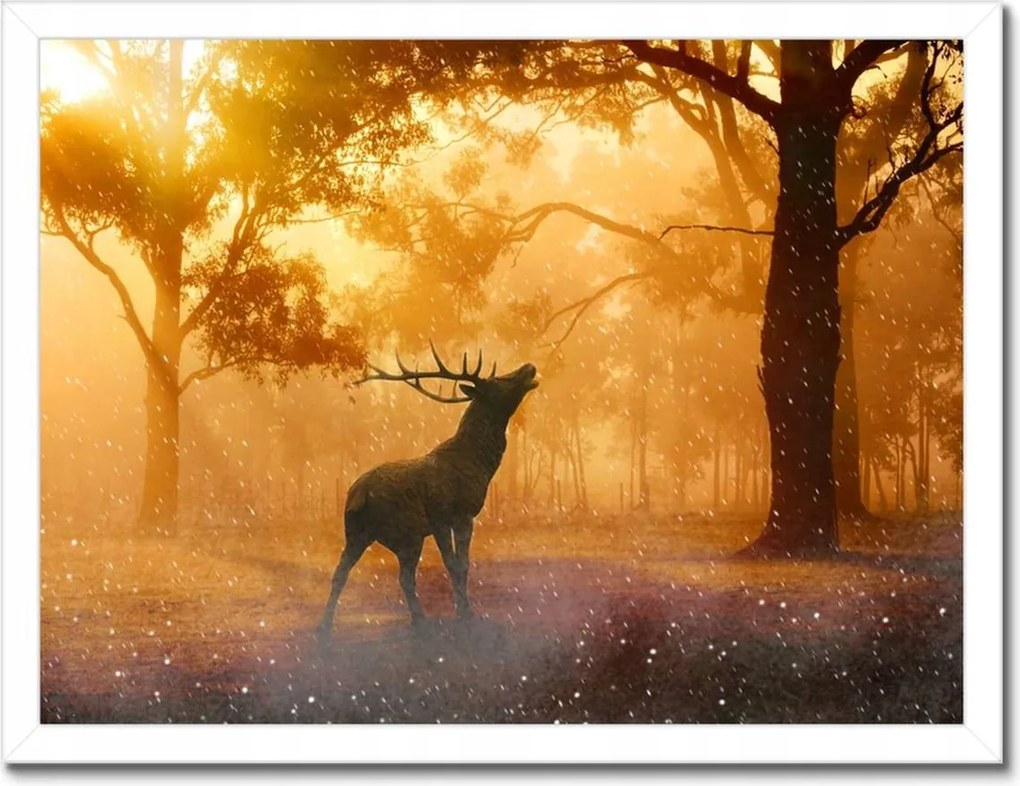 Poszterek keretben 40x30 Szarvas az erdőben