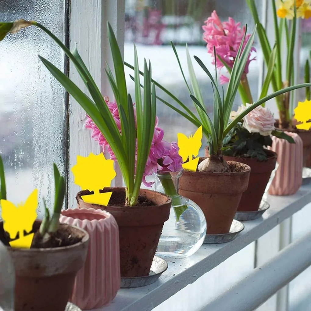 Rovarcsapda - ragadós pillangó