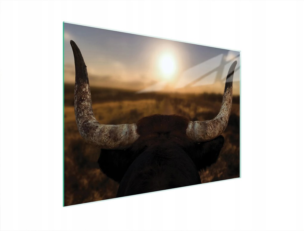 Üveg Vágódeszka 40x30 Nap Edzett Üveg